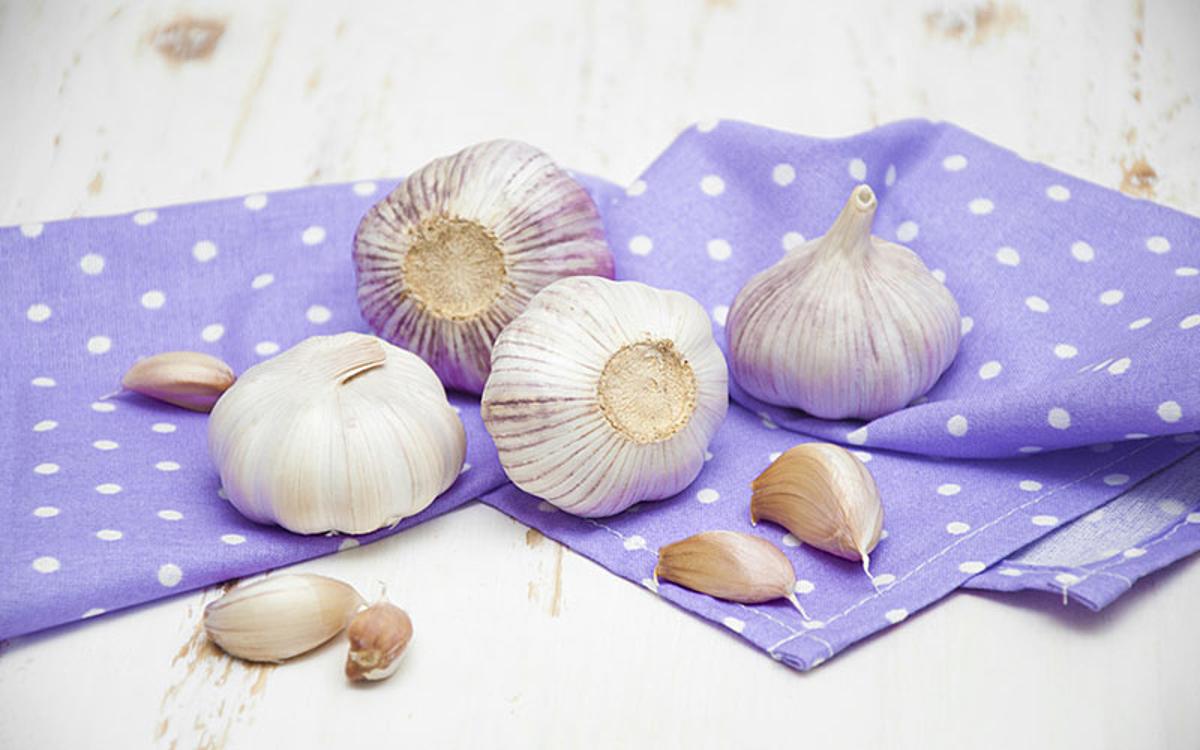 Proprietà e benefici dell'aglio
