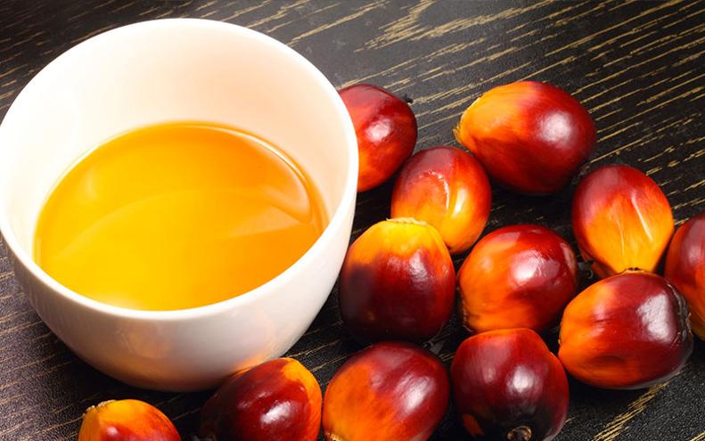 L'olio di palma e i rischi per la salute
