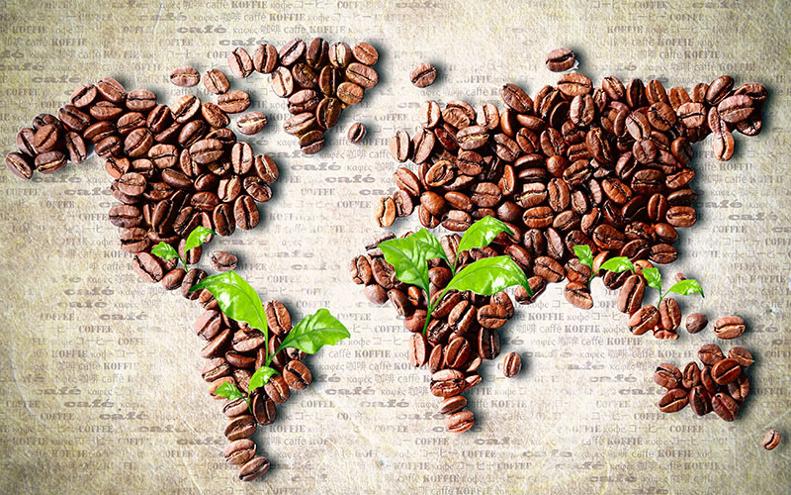 Il caffè nella dieta