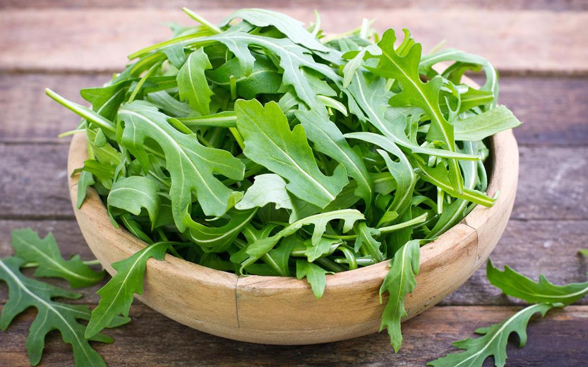 Rucola